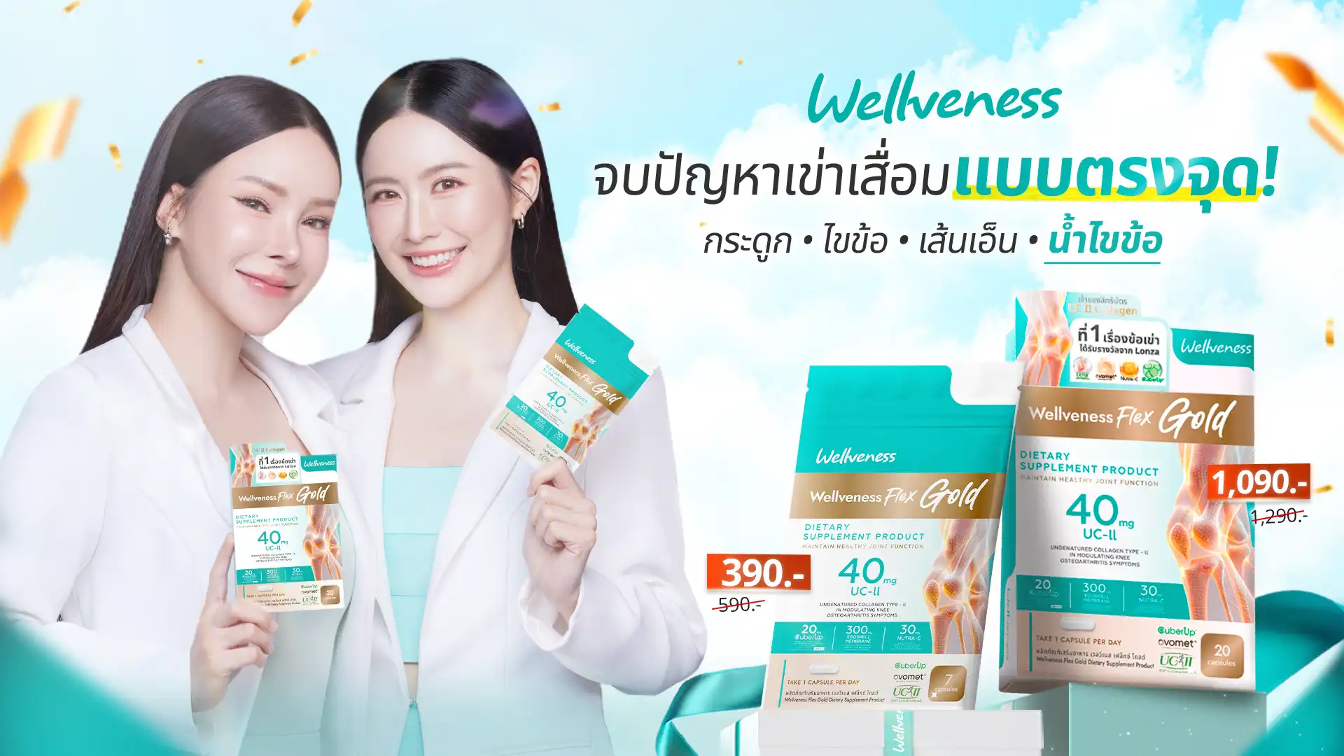 Wellflex Promotion 2