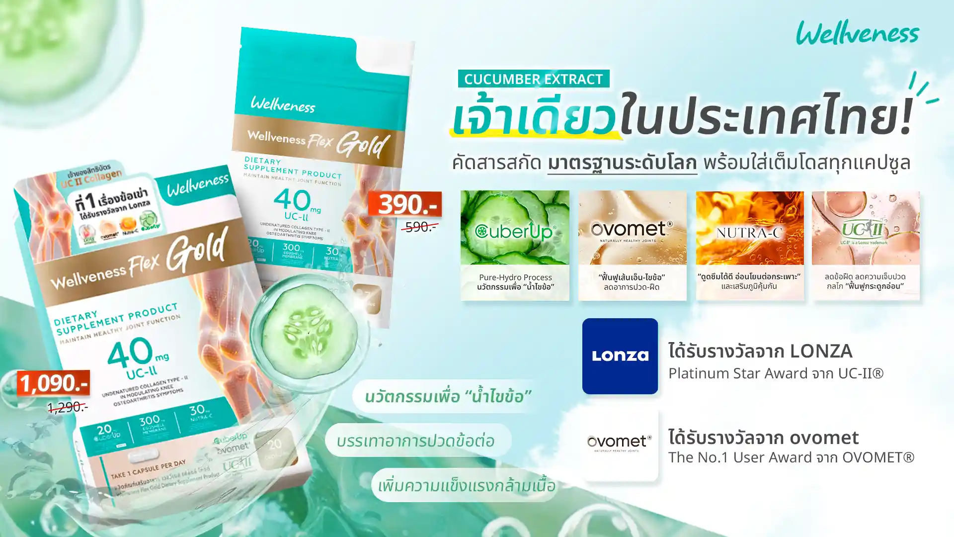 Wellflex Promotion 4