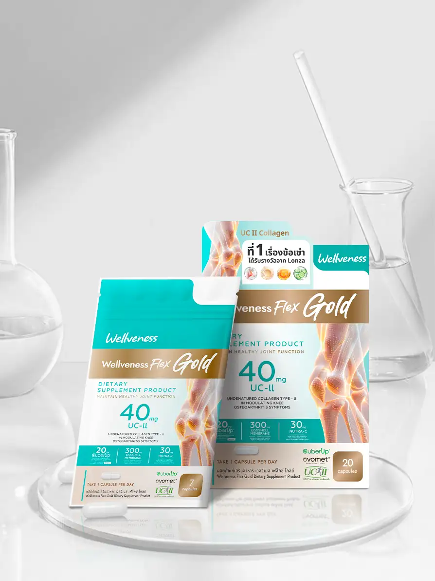 WellFlex Product Show 1