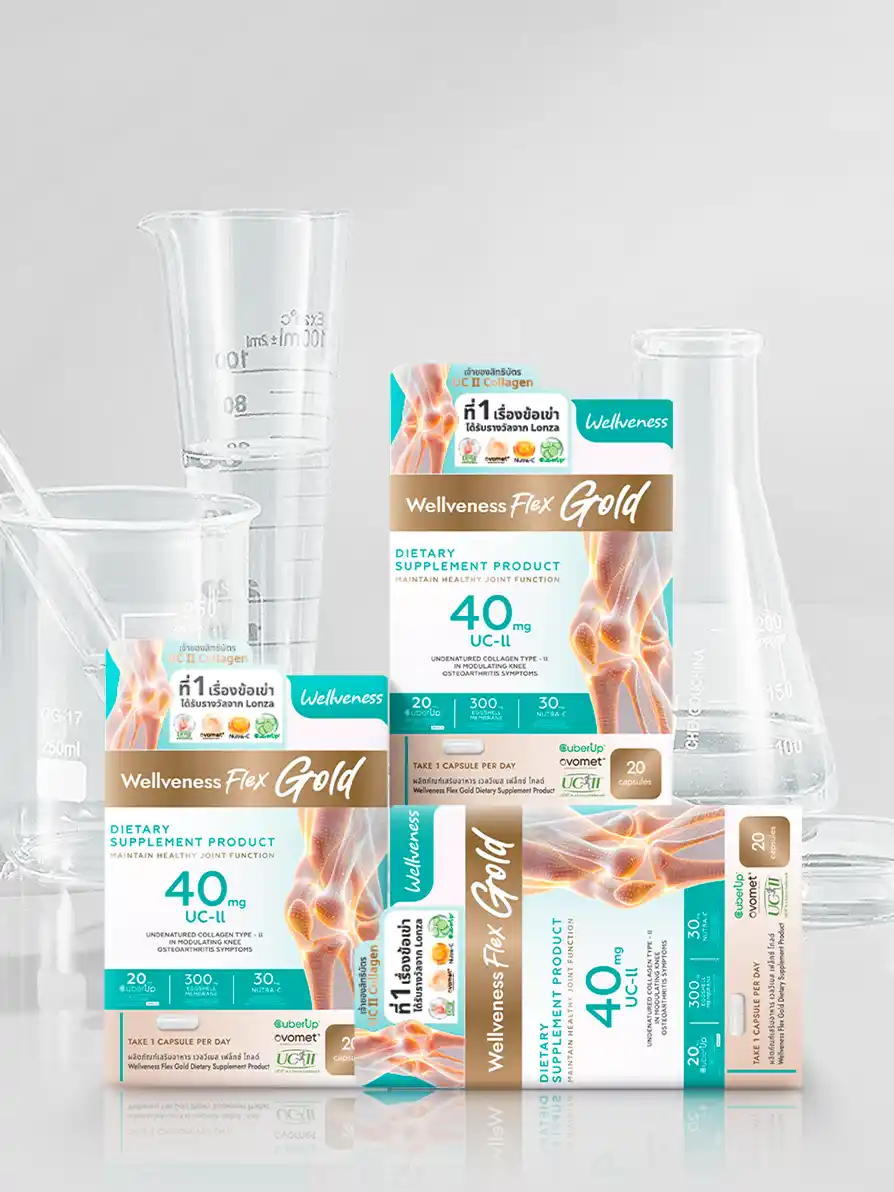 WellFlex Product Show 2